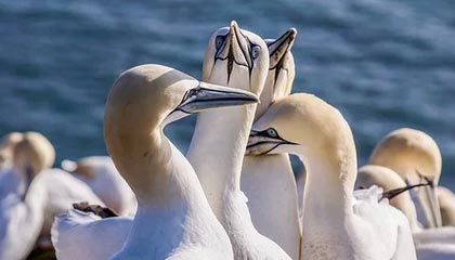 开云网站入口官网-开云体育下载——开启全新体育世界的数字门票