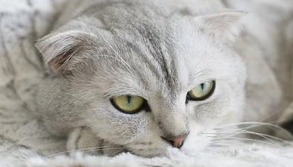 华体会：把体育梦想变成日常的成长之路